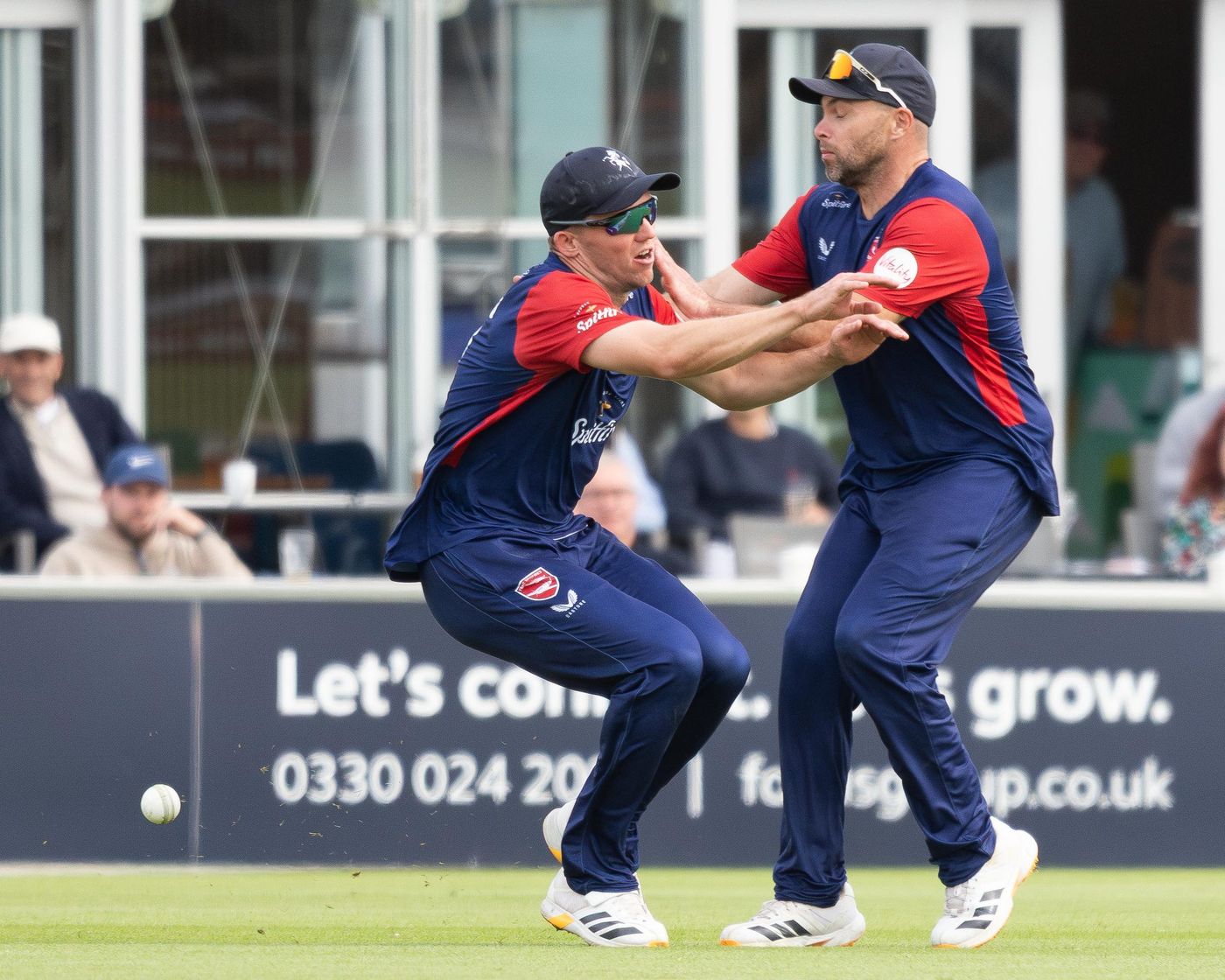Cricket fielders celebrating a wicket
