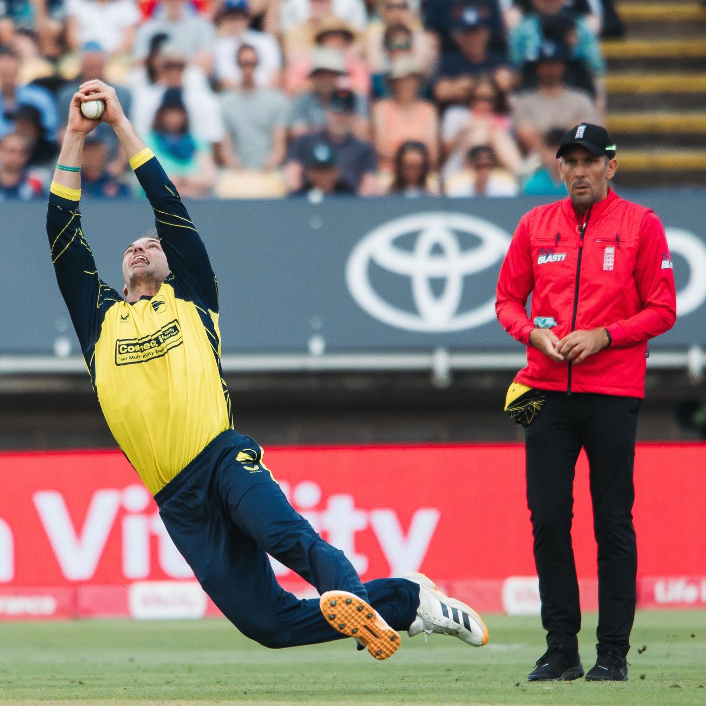 Cricket fielder diving for a catch